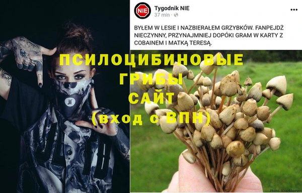 MDMA Premium VHQ Туринск