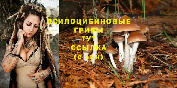 mdpv Тында