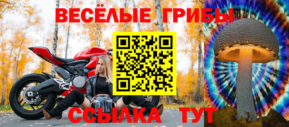 Шарыпово  Псилоцибиновые грибы MAGIC MUSHROOMS  Вход с VPN 